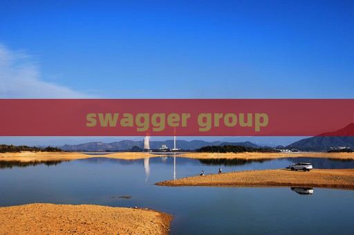 swagger group